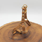 Studded Tea-Stained Just Hemp Step-In Dog Harness