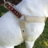 Sangria Red Studded Step-In Dog Harness