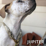 Just Hemp Rope Dog ID Collar