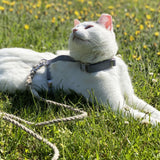 Pebble Beach Just Hemp H-Style Cat Harness