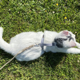 Pebble Beach Just Hemp H-Style Cat Harness