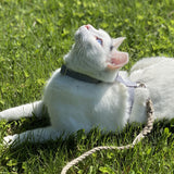 Pebble Beach Just Hemp H-Style Cat Harness