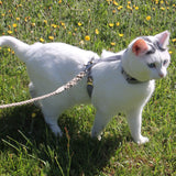 Pebble Beach Just Hemp H-Style Cat Harness