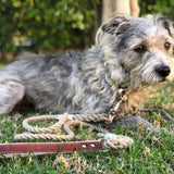 Hemp Rope Dog Leash with Cork Leather Handle