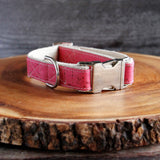 Signature "Pretty In Pink" Cork Dog Collar