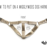 How to put on an adjustable step-in dog harness