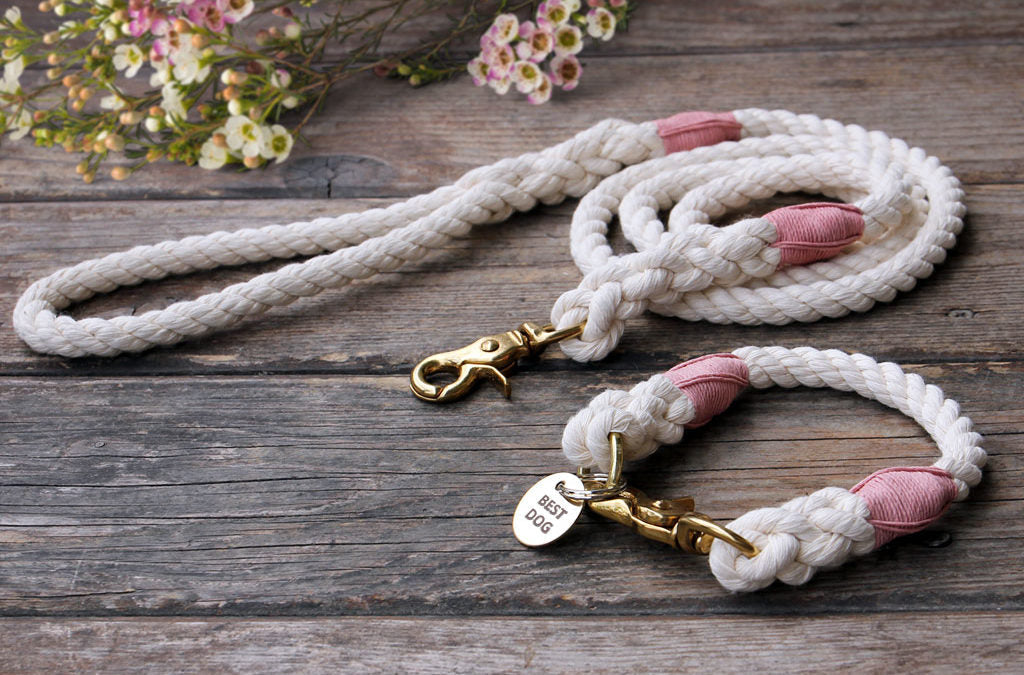 Eco-Friendly Best Dog Wedding Collars and Leashes