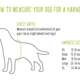 Sewn Top Just Hemp Step-In Dog Harness