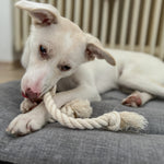 Chew-Me-Ups Natural Knotted Cotton Rope Dog Toy