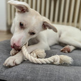 Chew-Me-Ups Natural Knotted Cotton Rope Dog Toy