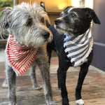 Wigglywoos Fringed Candy-striped Dog Bandana