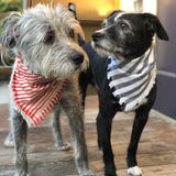 Wigglywoos Fringed Candy-striped Dog Bandana