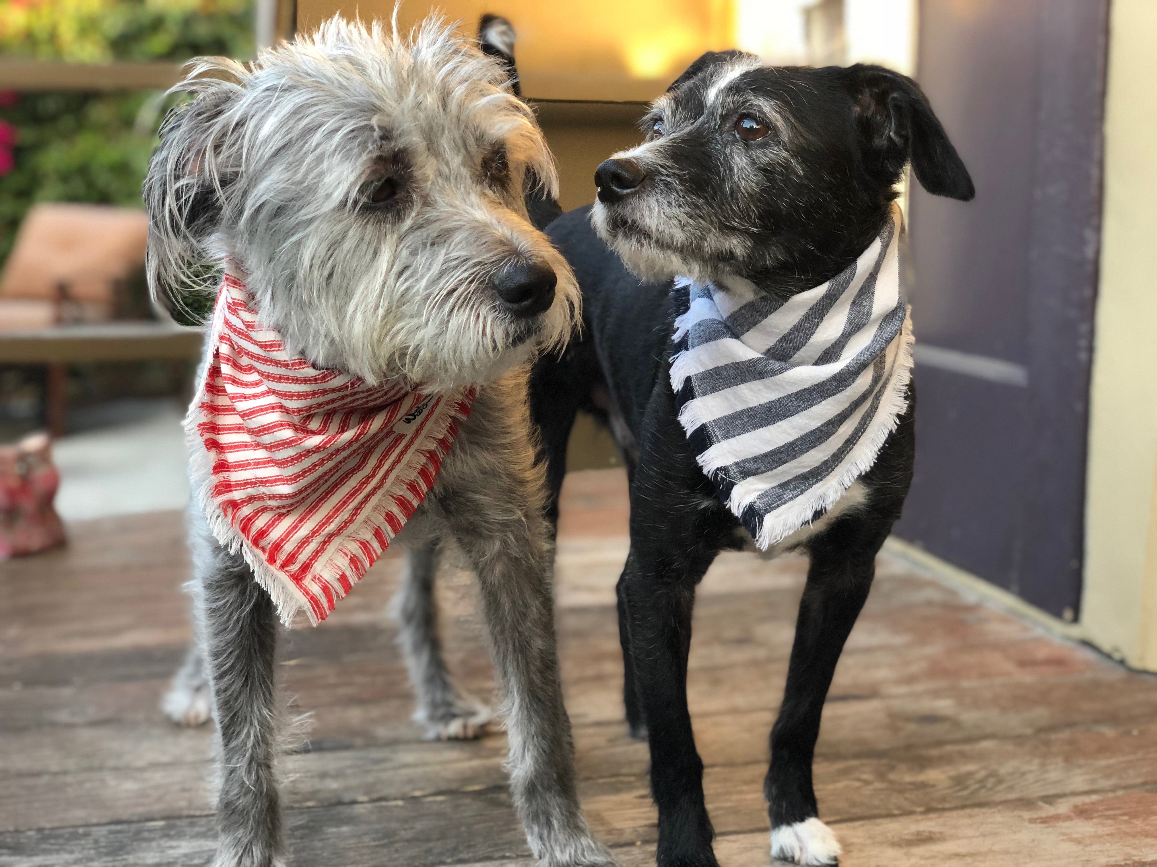 Wigglywoos Fringed Candy-striped Dog Bandana