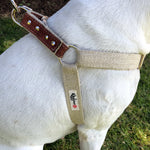 Sangria Red Studded Step-In Dog Harness