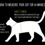How to measure your cat for a harness