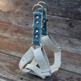 Ocean Blue Studded Step-In Dog Harness