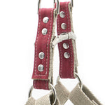 Pretty In Pink Studded Step-In Dog Harness