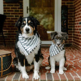 Fringed Indigo Striped Dog Bandana