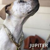 Just Hemp Rope Hundehalsband – kleine und mittelgroße Hunde 