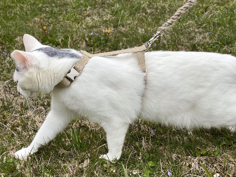 Just Hemp H-Style Cat Harness