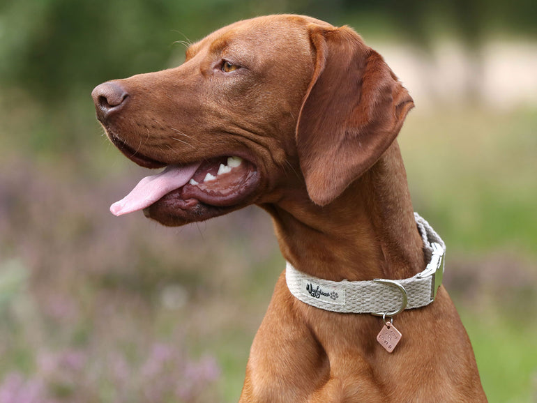 Just Hemp Dog Collar Natural