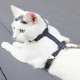 Nantucket Blue Just Hemp H-Style Cat Harness