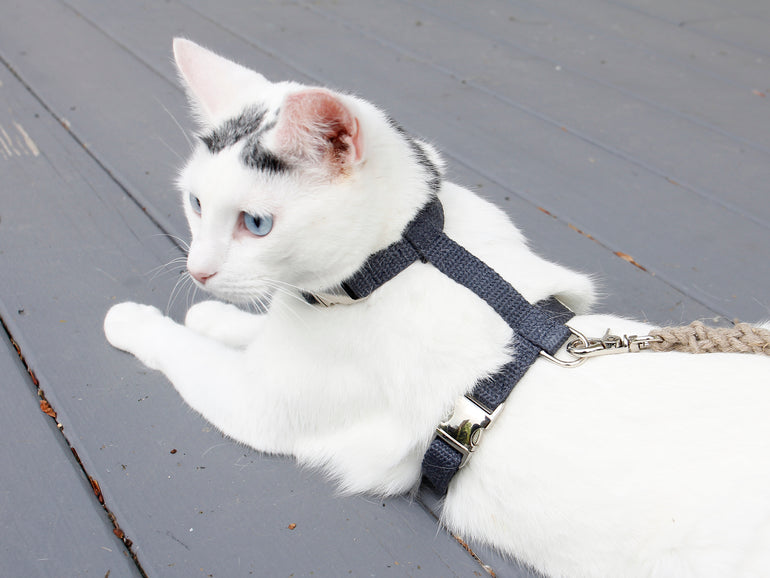 Nantucket Blue Just Hemp H-Style Cat Harness