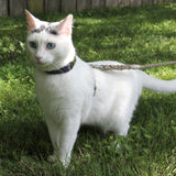 Nantucket Blue Just Hemp H-Style Cat Harness