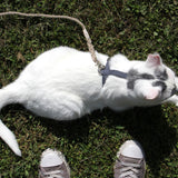 Nantucket Blue Just Hemp H-Style Cat Harness