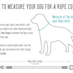 How to measure your dog for a rope collar
