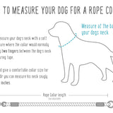 How to measure your dog for a rope collar