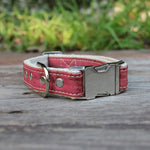Studded Cork Leather Dog Collar Pretty in Pink