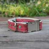 Studded Cork Leather Dog Collar Pretty in Pink