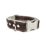 Studded Signature Natural Cork Leather Dog Collar in Brown