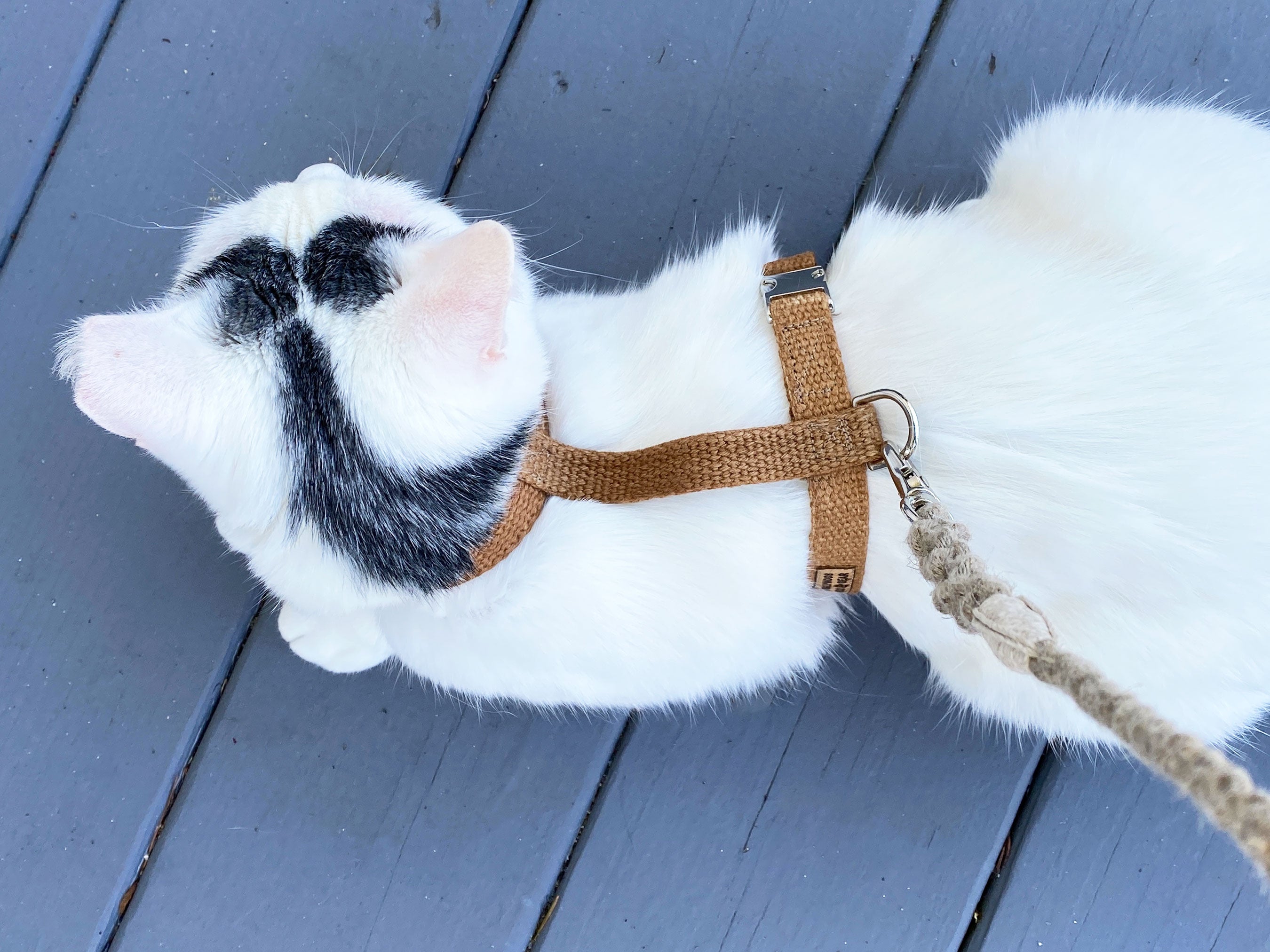 Tea-stained Just Hemp H-Style Cat Harness