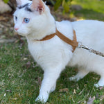 Tea-stained Just Hemp H-Style Cat Harness