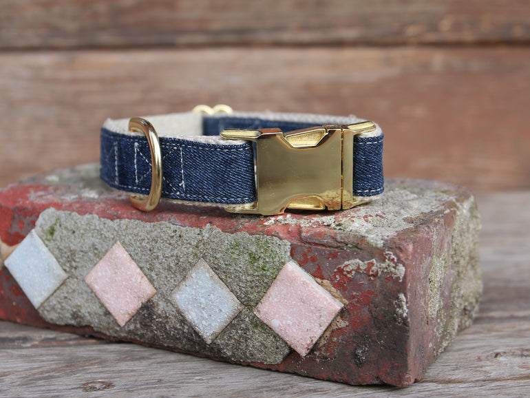Denim Dog Collar Brass Hardware