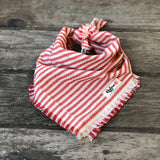 Fringed Candy-striped Dog Bandana