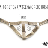 How to put on a wigglywoos dog harness
