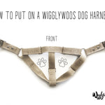 How to put on an adjustable step-in dog harness