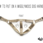 How to put on a wigglywoos dog harness